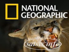 Sanoma Media Ukraine запустит National Geographic в 2013 году?