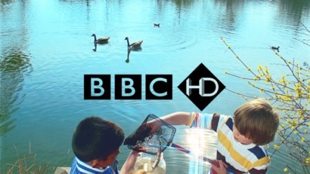 Корпорация BBC запустила пять новых HD-каналов